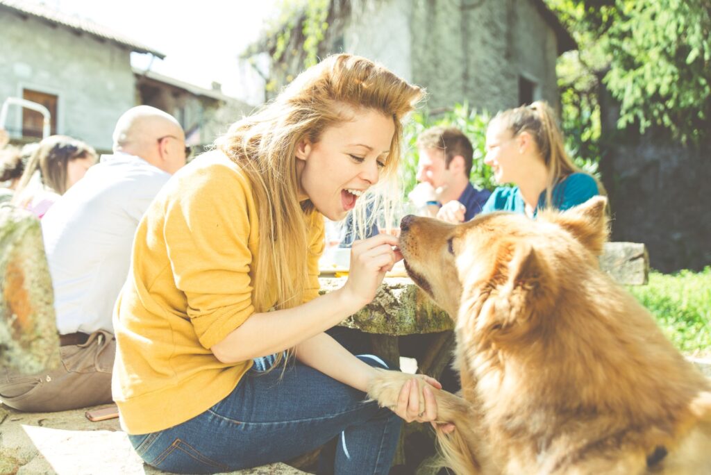 Vegane Hundeernährung: Rex ist nicht gleich T-Rex